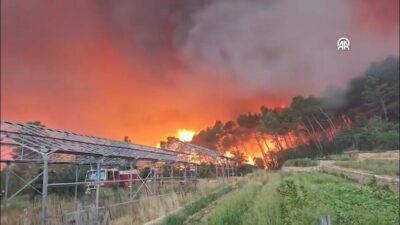 Fransa'nın güneydoğusundaki Var vilayetinde meydana gelen yangınlar, bölgedeki ormanları tehdit