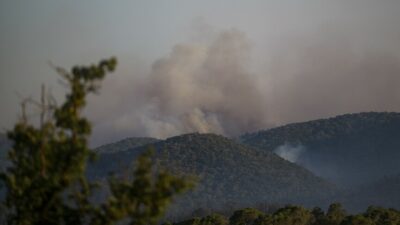 Aşırı sıcakların etkisiyle İspanya'nın Valensiya bölgesinde orman yangınlarıyla mücadele devam