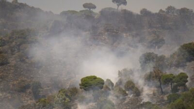 İspanya'nın Katalonya bölgesinde meydana gelen orman yangınları, geniş bir alanda