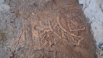 Mardin'de gerçekleştirilen tarihi eser operasyonu, yaklaşık 1500 yıllık bir mozağin