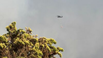 Muğla'nın Milas ilçesinde meydana gelen orman yangını, ekiplerin etkili müdahalesi
