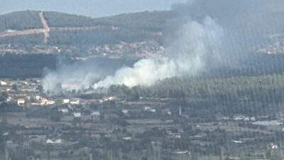 Menteşe ilçesinde meydana gelen orman yangını, ekiplerin özverili çalışmalarıyla söndürüldü.