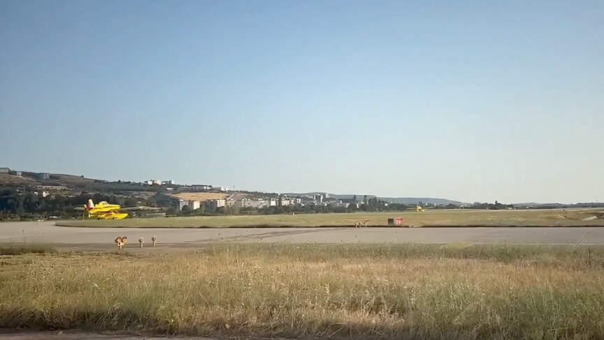 Türkiye, İspanya'nın ardından Fransa'ya da yangın söndürme uçağı göndererek uluslararası