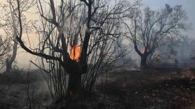 Yunanistan, artan hava sıcaklıklarıyla birlikte yangınlarla zorlu bir mücadele veriyor.