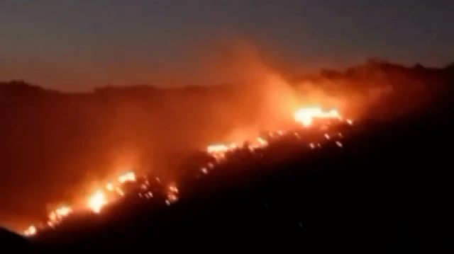 Afyonkarahisar'da meydana gelen orman yangınına itfaiye ve orman ekipleri hızla