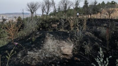 Son iki ayda Ankara'da meydana gelen yangınlar, tarım alanları ve