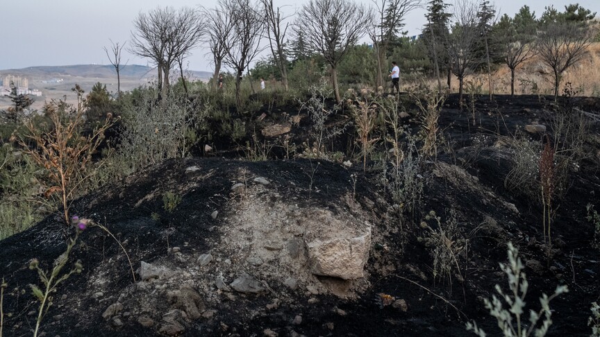 Son iki ayda Ankara'da meydana gelen yangınlar, tarım alanları ve