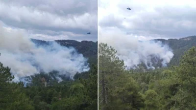 Antalya'nın Manavgat ilçesinde çıkan orman yangını, yoğun müdahale sonrası 22