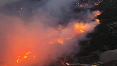 Aydın'ın Çine ilçesindeki orman yangınında yaralanan bir kişi, 20 günlük