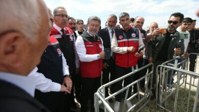 Büyükbaş hayvanların dijital ortamda takip edileceği yeni sistem, tarım ve