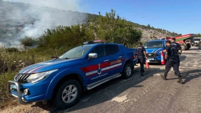 Bilecik'te bir elektrik direğinden çıkan kıvılcımlar orman yangınına yol açarken,