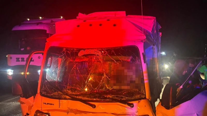 Bilecik’te meydana gelen kazada bir kamyonet sürücüsü hayatını kaybetti. Yolcu