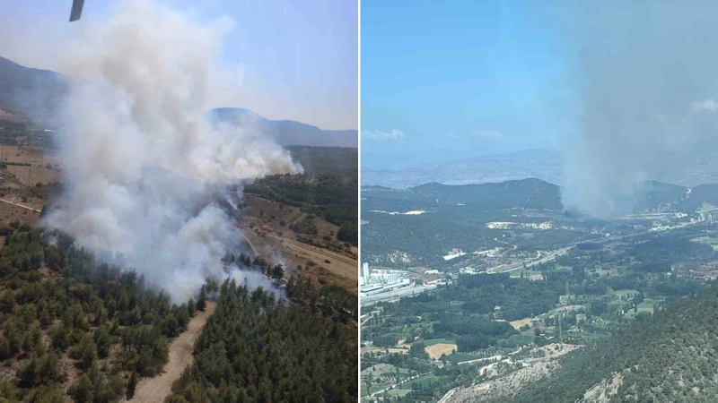 Bilecik'te başlayan orman yangınına karadan ve havadan müdahale eden ekipler,
