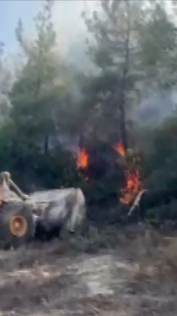 Bilecik'te çıkan orman yangını, hızla yayılarak tehlike oluşturdu. Ekipler, alevleri