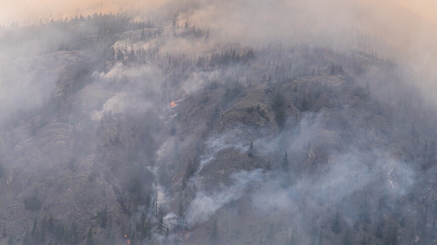 Kanada'nın British Columbia eyaletindeki orman yangınları, bölgedeki yaşamı tehdit ederken,