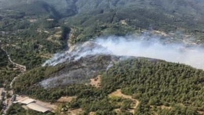 Bursa'da çıkan orman yangınları, ekipler tarafından hızlı bir şekilde kontrol