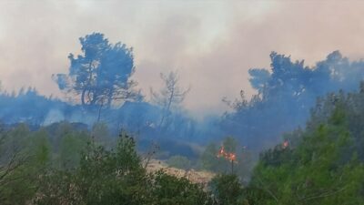 Ezine'de ormanlık alanda çıkan yangın, ekiplerin hızlı müdahalesiyle kontrol altına