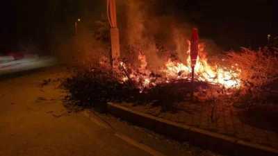 Çorum'un Alaca ilçesinde çıkan örtü yangını, itfaiye ekiplerinin zamanında müdahalesi