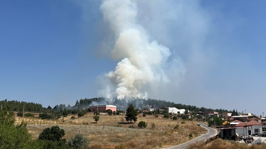 Denizli'de çıkan orman yangını, hızlı müdahale ile kontrol altına alındı.