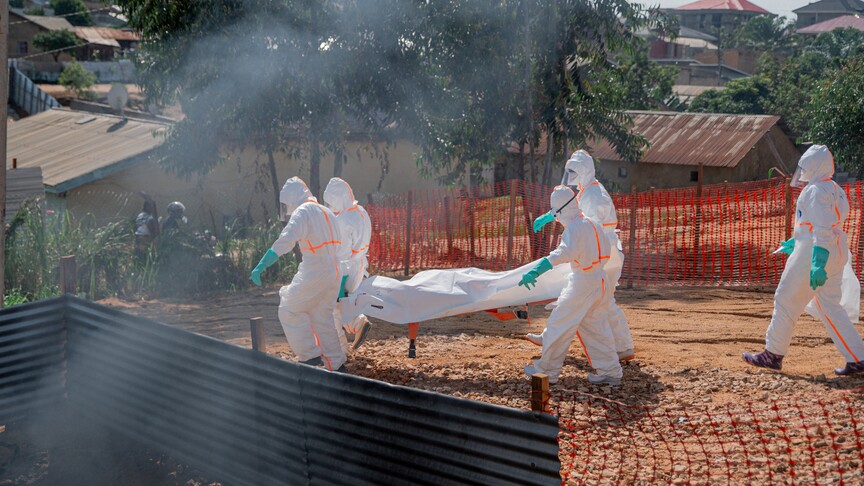 Dünya Sağlık Örgütü, Kongo Demokratik Cumhuriyeti'nde patlak veren Ebola salgınının