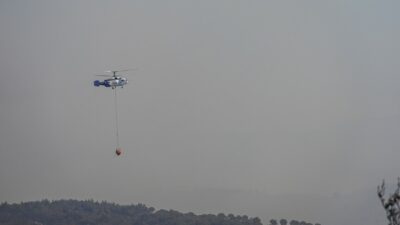 Balıkesir'in Edremit ilçesinde çıkan orman yangınına itfaiye ve orman ekipleri