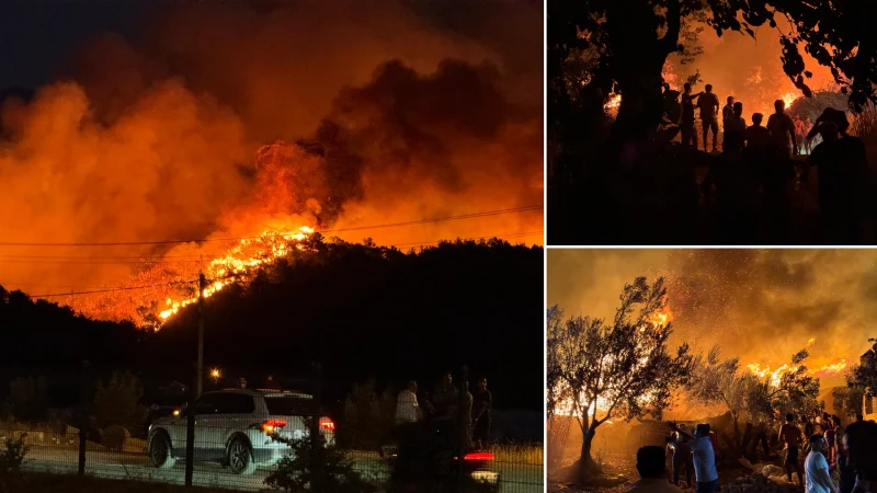 Muğla'nın Fethiye ilçesinde çıkan orman yangınına itfaiye ve orman ekipleri