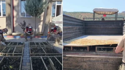 Hatay'da jandarma, gizli bölmede 2 bin saka kuşu buldu. Kaçakçı