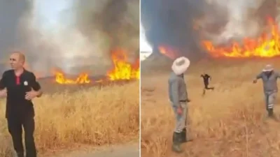 Malatya'da çıkan anız yangınında itfaiye ekipleri, alevlerin arasında kalan yavru