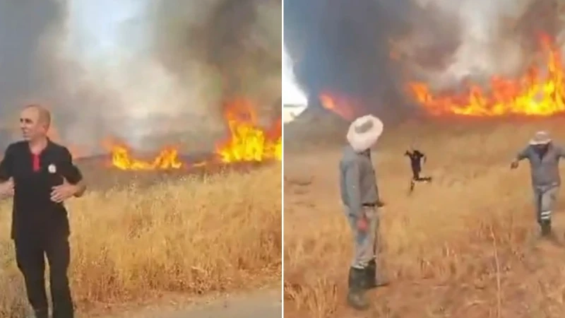 Malatya'da çıkan anız yangınında itfaiye ekipleri, alevlerin arasında kalan yavru