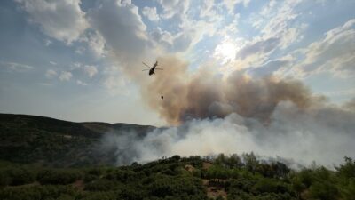 Manisa'nın Seyitali Mahallesi yakınlarında çıkan orman yangını, itfaiye ve orman