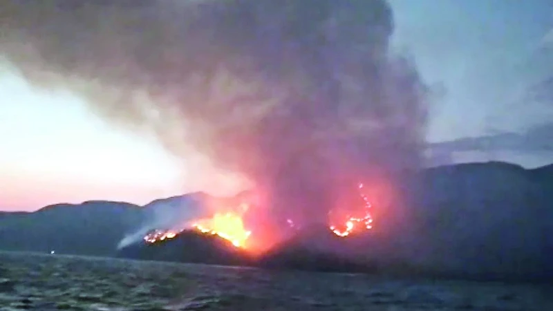 Marmaris'te çıkan orman yangını hızla yayıldı, 217 personel müdahale ediyor.