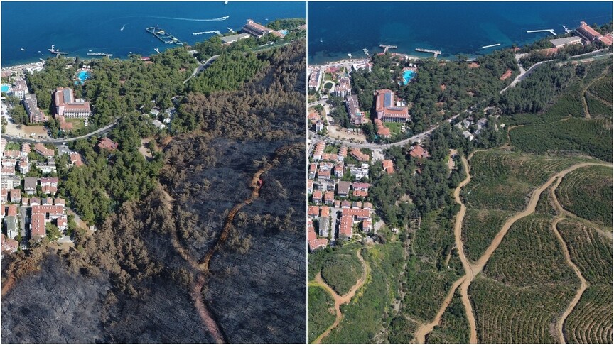 Muğla, 2021 yılındaki orman yangınlarının ardından yeniden hayat buldu.