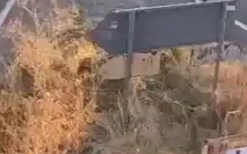 Ankara'nın Polatlı ilçesinde alkollü bir kişinin çıkardığı yangın, 250 dönümlük