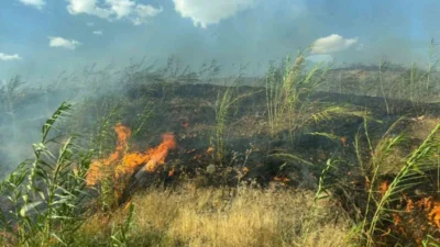 Şırnak'ın Silopi ilçesinde çıkan örtü ve orman yangını, ekiplerin müdahalesiyle