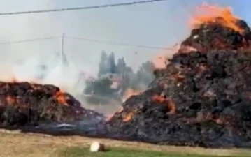 Yüksekova'da meydana gelen yangında 6 bin 500 bağ ot zarar