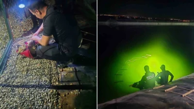 Adıyaman'ın Besni ilçesinde gölete düşen köpek, dalgıç polisler tarafından kurtarıldı.