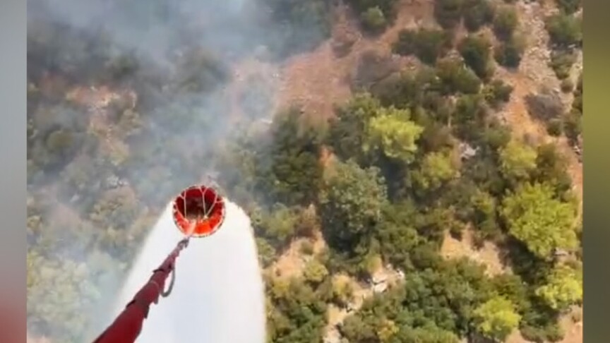 Antalya'nın Kepez ilçesinde çıkan orman yangını, ekiplerin hızlı müdahalesiyle kontrol