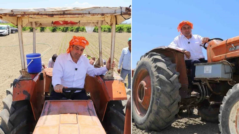 Saruhanlı Belediye Başkanı Ekrem Cıllı, üzüm hasadı sırasında makineye elini