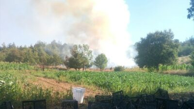 Bursa'da orman dışı alanda çıkan yangına, 3 hava aracı ve