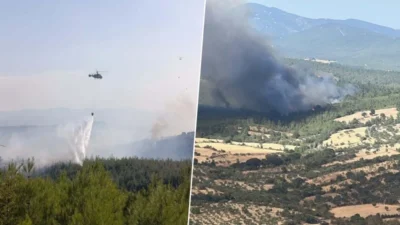 Çanakkale'nin Bayramiç ilçesinde çıkan orman yangınında 8 hektar alan zarar