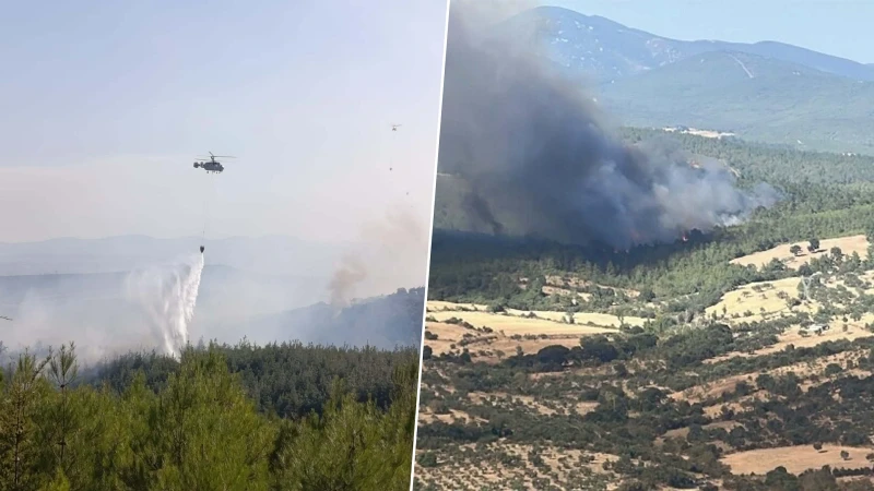 Çanakkale'nin Bayramiç ilçesinde çıkan orman yangınında 8 hektar alan zarar