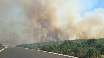 Diyarbakır'da ormanlık alanda çıkan yangına müdahale için çok sayıda ekip