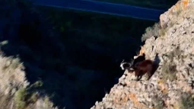 Erzurumlu çoban İsmail Akkaş, dronla keçi yöneterek geleneksel çobanlık anlayışını