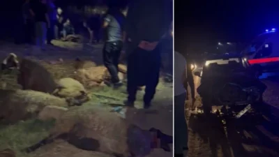 Gaziantep'te bir otomobil, koyun sürüsüne çarptı. Sürücü yaralanırken birçok koyun