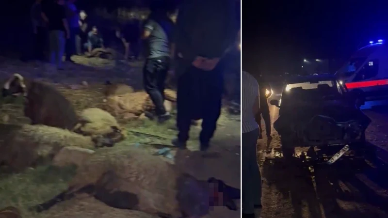 Gaziantep'te bir otomobil, koyun sürüsüne çarptı. Sürücü yaralanırken birçok koyun
