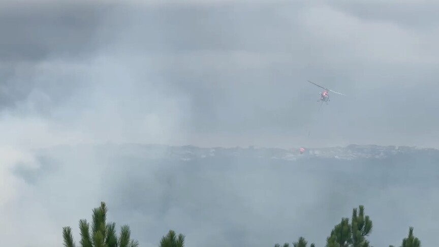 Arnavutköy'de ormanlık alanda başlayan yangına itfaiye ekipleri karadan ve havadan