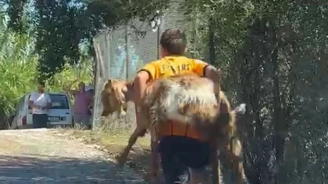 Antalya'da çıkan orman yangınında, 11 ve 12 yaşındaki iki çocuk,