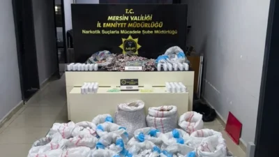 Mersin'de minibüsten ele geçirilen 256 bin 900 sentetik ecza hapının