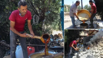 Mersin'in Mut ilçesinde yerli çiftçiler, geleneksel yöntemlerle pekmez üretmeye devam