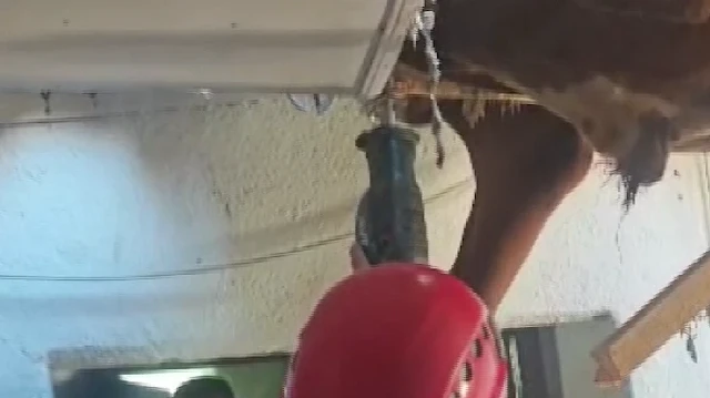 Aydın'ın Nazilli ilçesinde damızlık boğa, inek peşinden koşarken evin çatısına